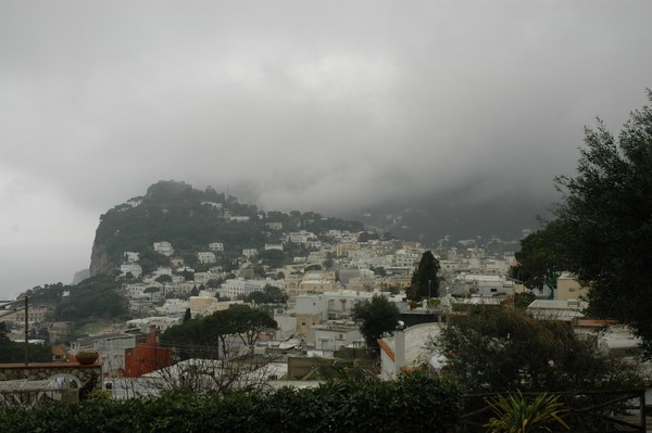 Town Of Capri